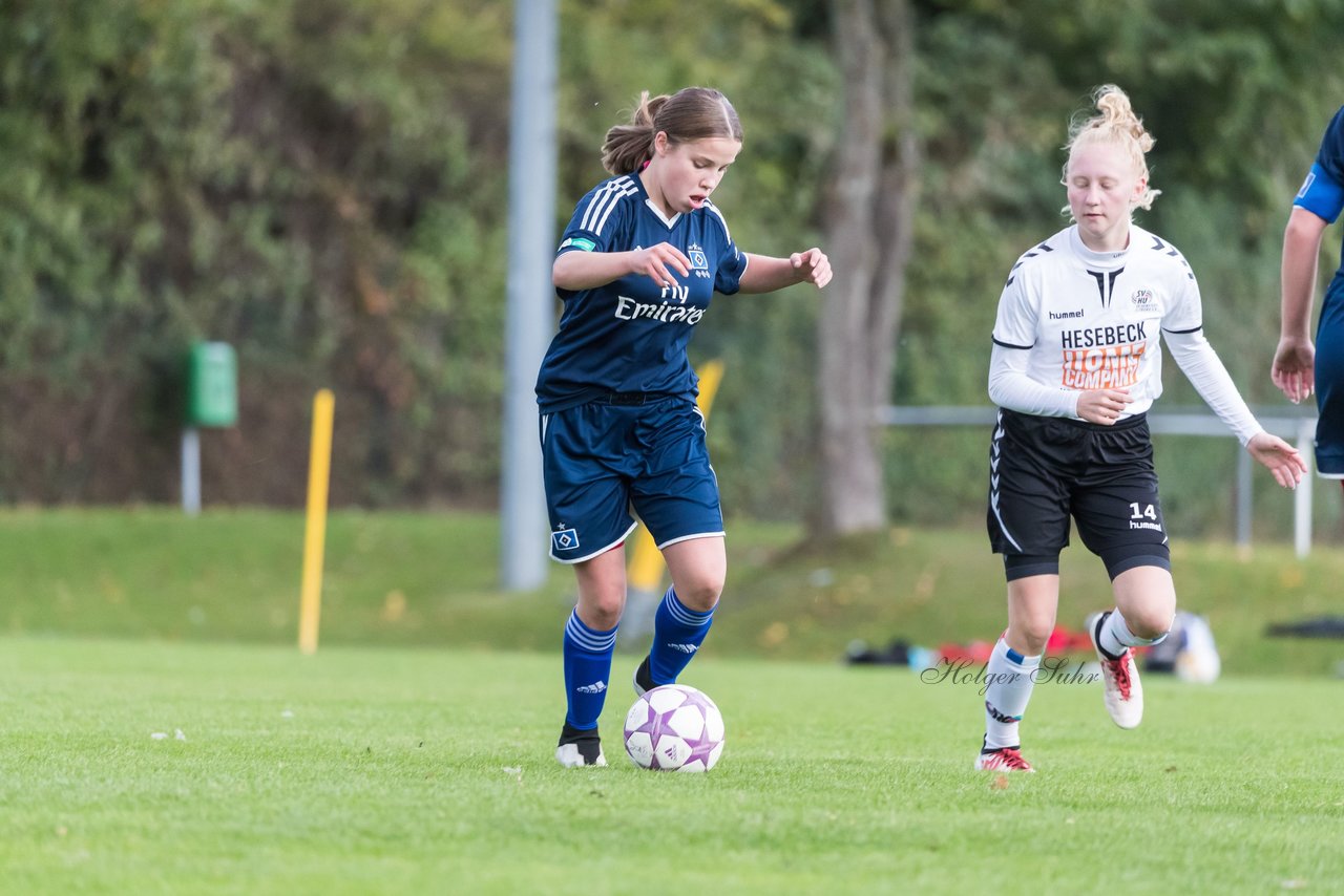 Bild 248 - B-Juniorinnen SV Henstedt Ulzburg - Hamburger SV : Ergebnis: 2:3